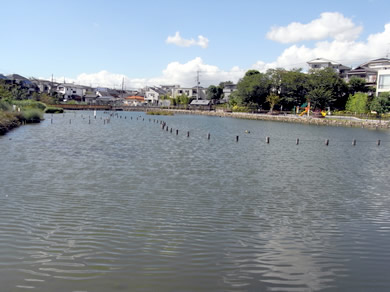 公園整備工事・工事実績「洗足小池公園整備工事」